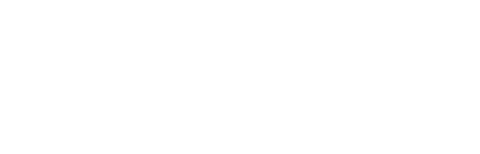 logo-disco-ninja